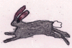 rabbit.jpg (32494 bytes)