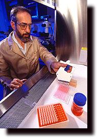 Mathew Greenstone hard at work in the lab. Spread in trays before him are the chemical contents of digested insects eaten by captured and dissected spiders. Yumm. 