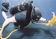 Navy Diver