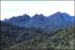 Mt Hirakimata is the highest peak on Great Barrier Island - Image: DoC